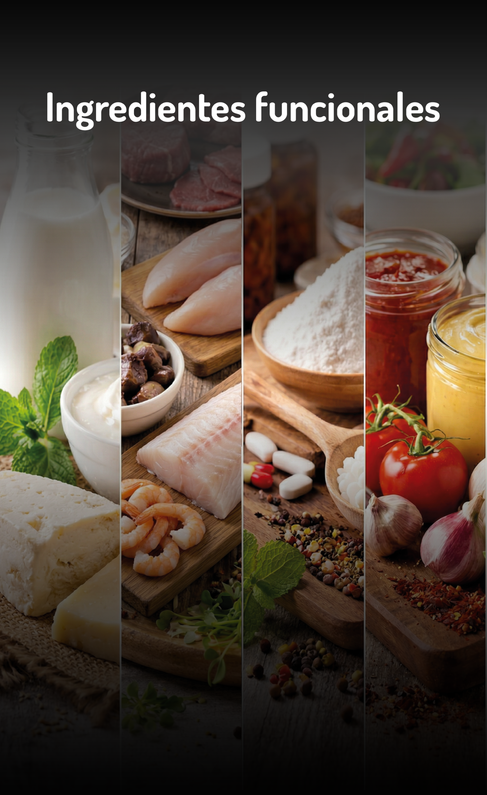 Ingredientes funcionales